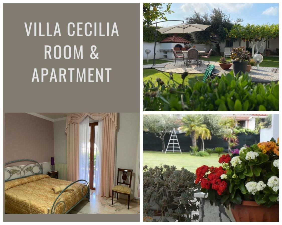 Villa Cecilia Bed And Breakfast Cellole ภายนอก รูปภาพ